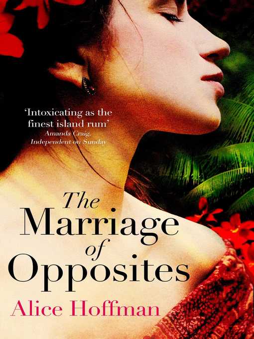 Title details for The Marriage of Opposites by Alice Hoffman - Wait list